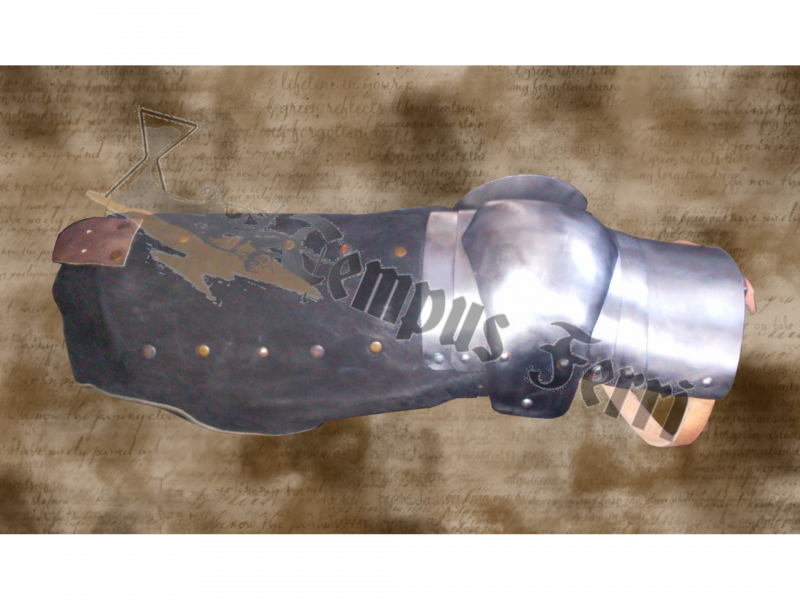 Quijotes Transicionales